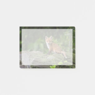 Post-it® Animaux de bébés cutest   Foxy Smile