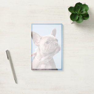 Post-it® Animaux de bébés cutest   French Bulldog Pink Bow
