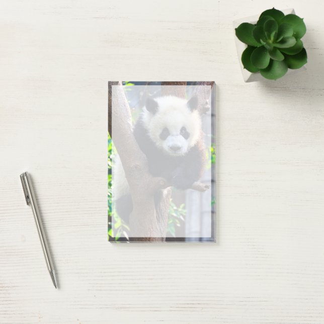 Post-it® Animaux de bébés cutest | Géant Panda Cub (Bureau)