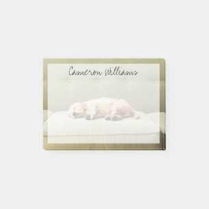 Post-it® Animaux de bébés cutest Golden Retriever Puppy 2