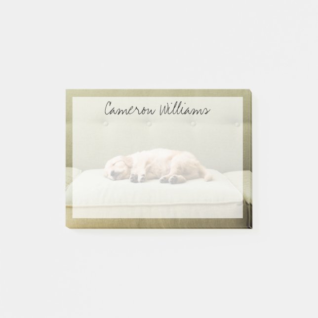 Post-it® Animaux de bébés cutest | Golden Retriever Puppy 2 (Devant)