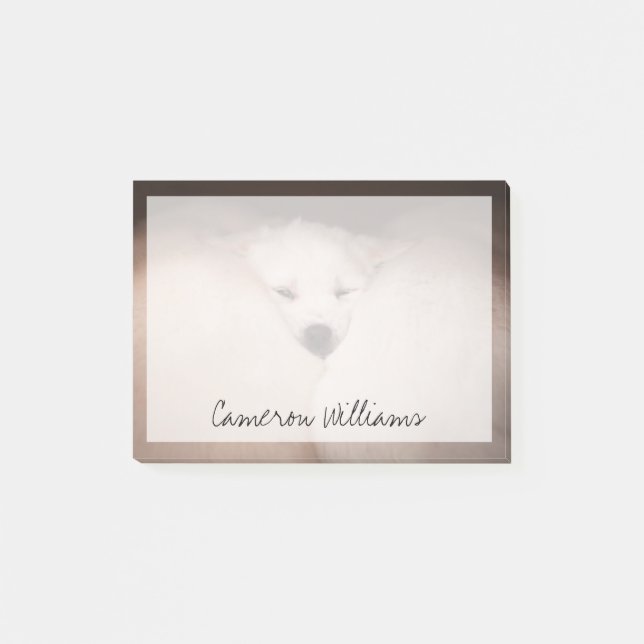 Post-it® Animaux de bébés cutest | Golden Retriever Snuggle (Devant)