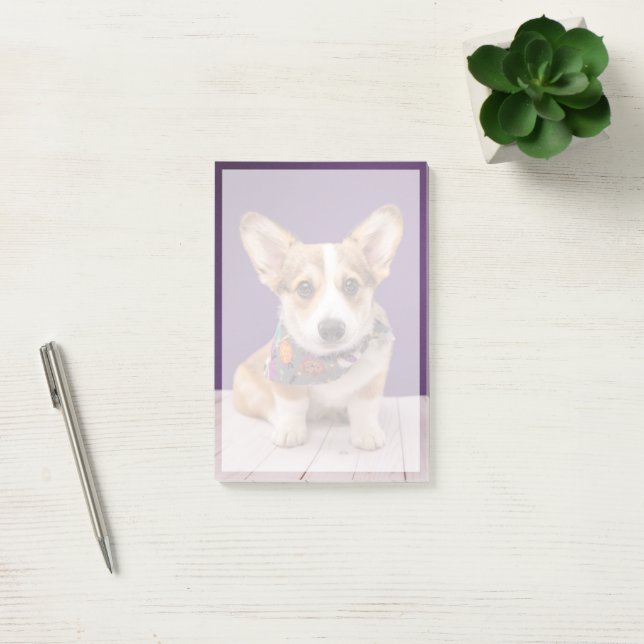 Post-it® Animaux de bébés cutest | Halloween Corgi (Bureau)