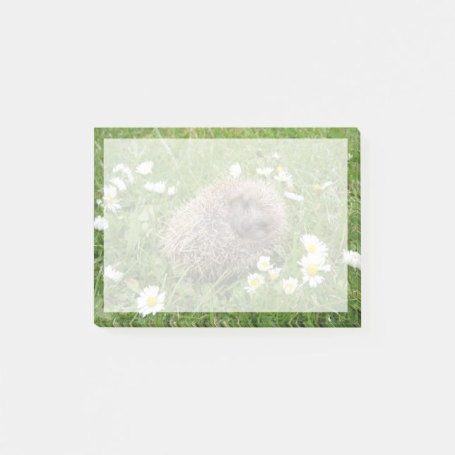 Post-it® Animaux de bébés cutest | Hérisson espagnol (Devant)