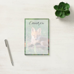 Post-it® Animaux de bébés cutest Kit Red Fox Relaxant