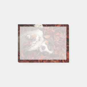 Post-it® Animaux de bébés cutest   L'espagnol dans les feui