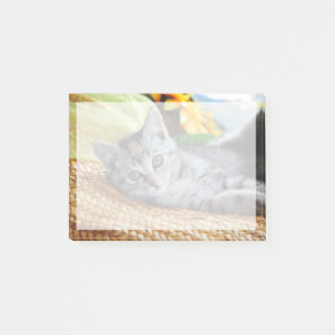 Post-it® Animaux de bébés cutest Lounge Kitten