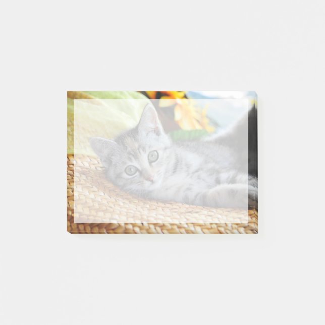 Post-it® Animaux de bébés cutest | Lounge Kitten (Devant)