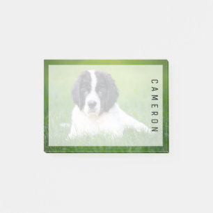 Post-it® Animaux de bébés cutest   Newfoundland Puppy