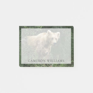 Post-it® Animaux de bébés cutest   Ours Mama Ours et ses pe