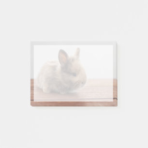 Post-it® Animaux de bébés cutest Petit lapin bébé