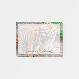 Post-it® Animaux de bébés cutest Sibérie Tiger Famille