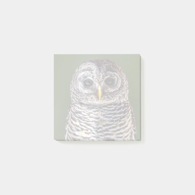 Post-it® Animaux de bébés cutest | Tawny Owl (Devant)