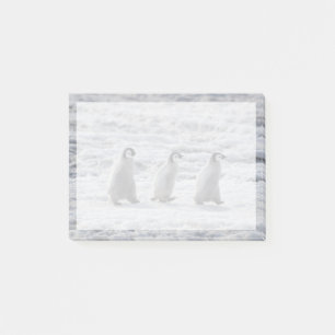 Post-it® Animaux de bébés cutest   Trois Épouses Penguin Em