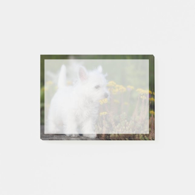 Post-it® Animaux de bébés cutest | West Highland White Terr (Devant)