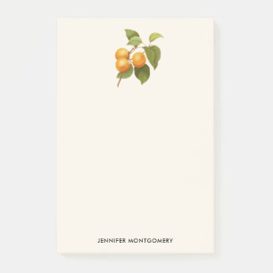 Post-it® Apricots orange vintage
