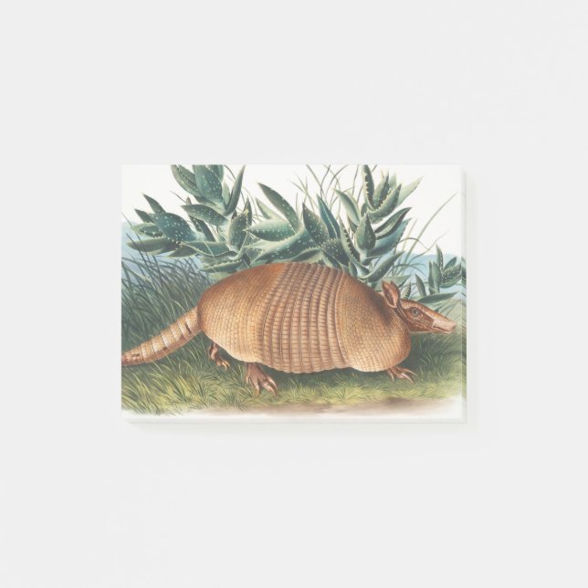 Post-it® Armadillo Beige Or Neuf (Devant)