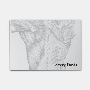 Post-it® Art anatomique noir et blanc Muscles de dos (1890)