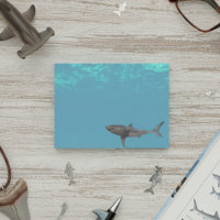 Attaque de grand requin blanc Océan