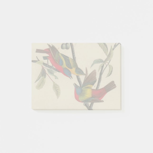 Post-it® Audubon Peint Bunting Bird Wildlife (Devant)