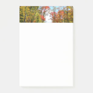 Post-it® Automnes Arbres et Ciel bleu Automne Photographie