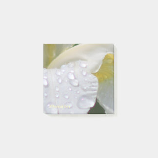 Post-it® Baisses sibériennes de pluie d'iris de Whtie