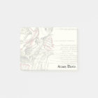 Base vintage d'anatomie de l'external de crâne