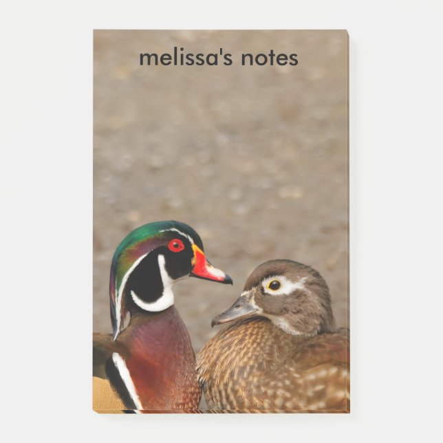 Post-it® Beau moment de contact entre des canards en bois (Devant)