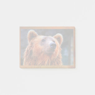 Post-it® Beau Portrait d'ours Brown Faune Photo