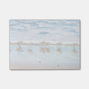 Post-it® Bécasseaux fonctionnant le long de la plage