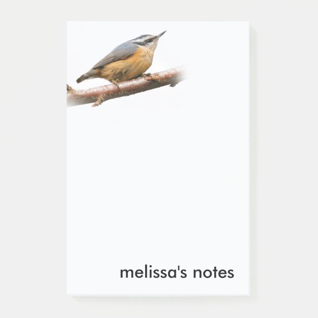 Post-it® Belle Nuthatch à poitrine rouge sur une branche (Devant)