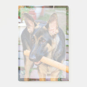 Post-it® berger allemand par Shirley Taylor