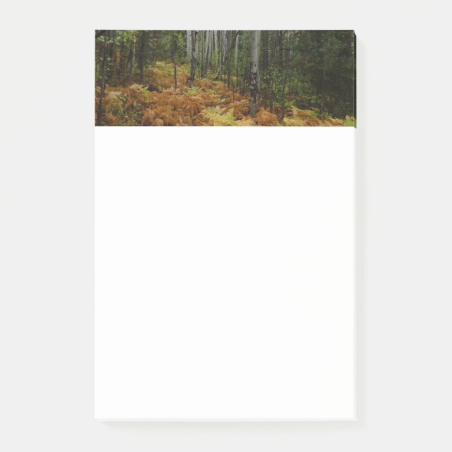 Post-it® Birch Trees blancs et fougères d'automne à Rocky M (Devant)