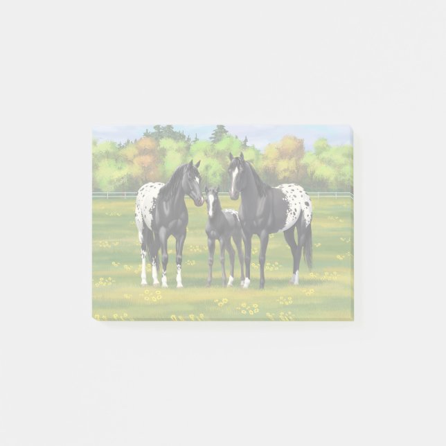 Post-it® Black Appaloosa Horses In Summer Pasture (Devant)