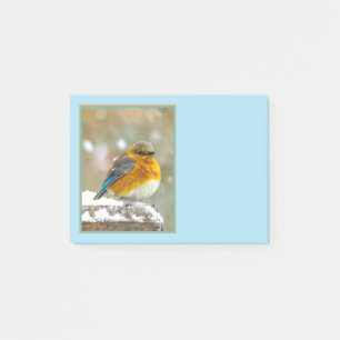 Post-it® Bleuet de l'Est en neige - Photo originale