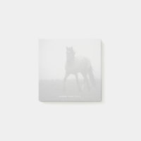 Blue Roan Mist - Notes 3" x 3"