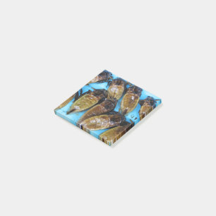 Post-it® Bogue d'eau géante frite (Maeng Daa) ... Alimentat
