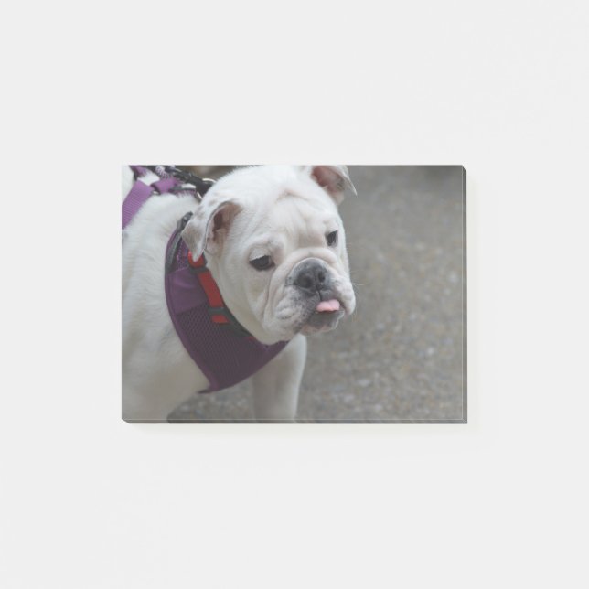 Post-it® Bouledogue adorable (Devant)