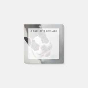 Post-it® Bouledogue français des images   de Getty