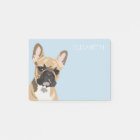 Bouledogue Français | Frenchie Mignon