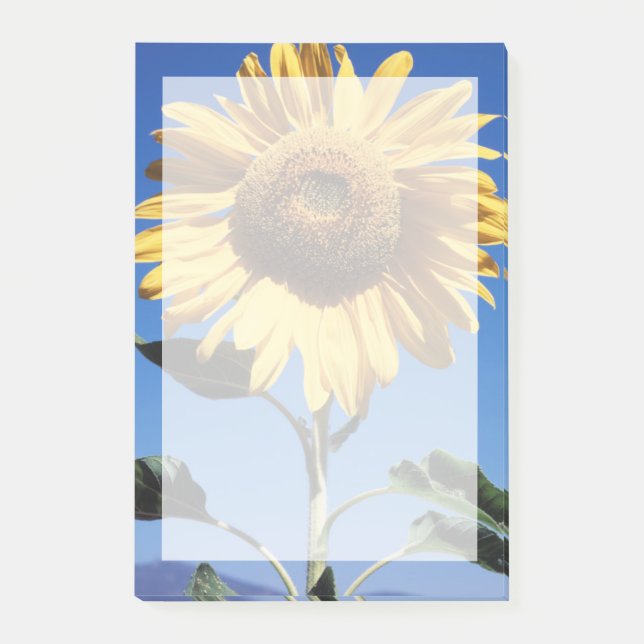 Post-it® Californie, Un Tournesol Mammouth (Helianthus) 3 (Devant)