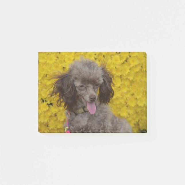 Post-it® Caniche Brown minuscule doux (Devant)