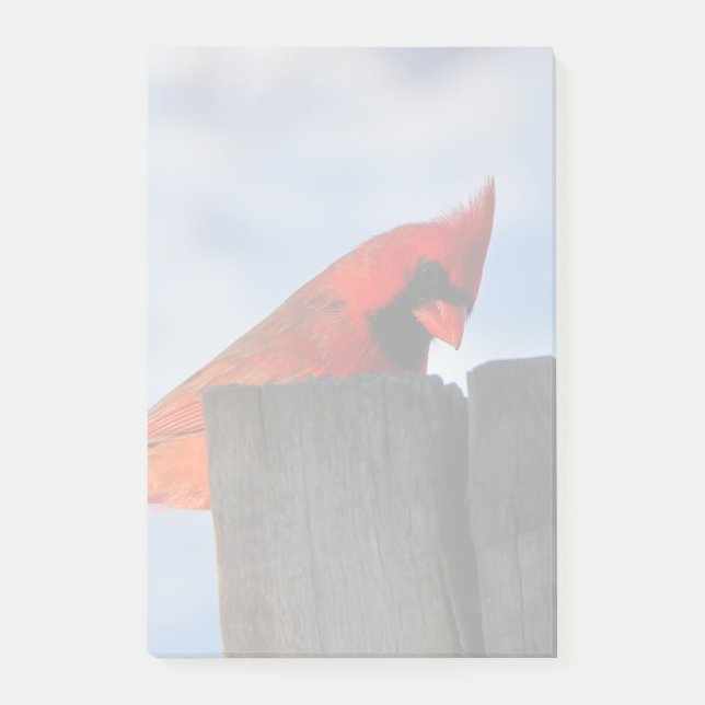 Post-it® Cardinal rouge sur la souche en bois (Devant)