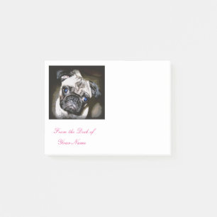 Post-it® carlin aux yeux bleus mignon