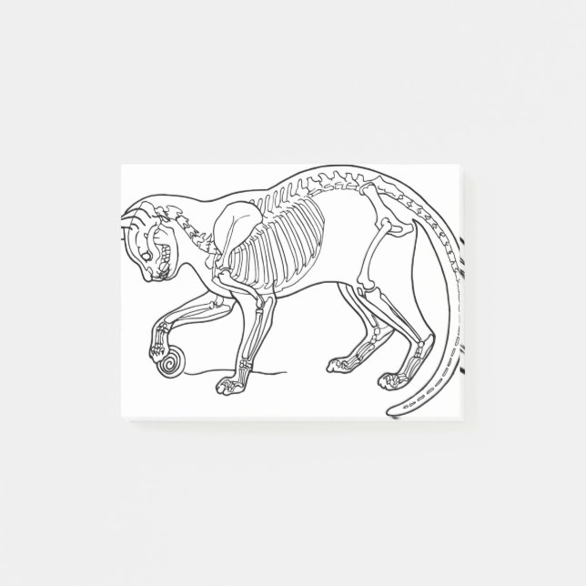 Post-it® Cat Animal Bones Skeleton Line Art Biologie (Devant)