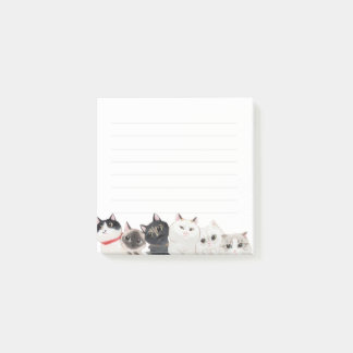 Post-it® Cat Post it Note