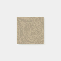 Cats de Maine Coon 3 par 3