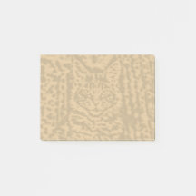 Cats de Maine Coon 4 par 3