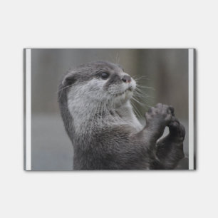 Post-it® Cerveau de loutre