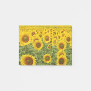 Post-it® Champ de soleil